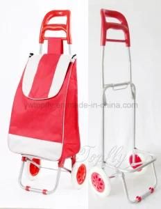 Portable Collapsible Shopping Cart with Metal Frame