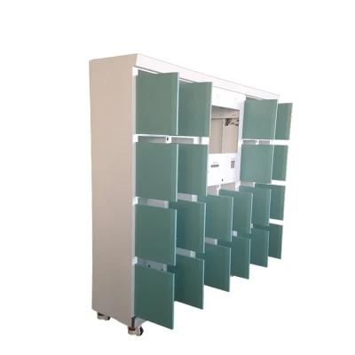 Densen Customized Steel Smart Fingerprint Lockers Luggage Storage Electronic Metal Cabinet Locker with Kerong Locker
