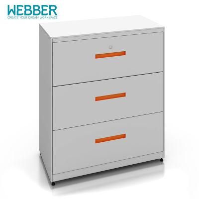 ISO9001: 2000, ISO14001: 2004 Non-Customized Webber Steel Wardrobe Storage Cabinet