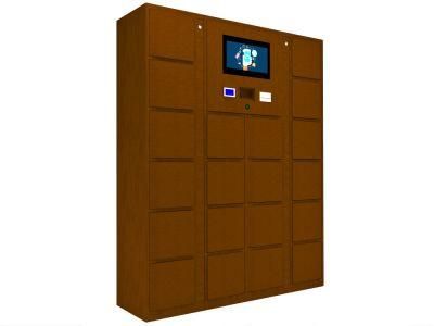 Cold Rolled Steel Password DC Plywood Case Delivery Intelligent Locker