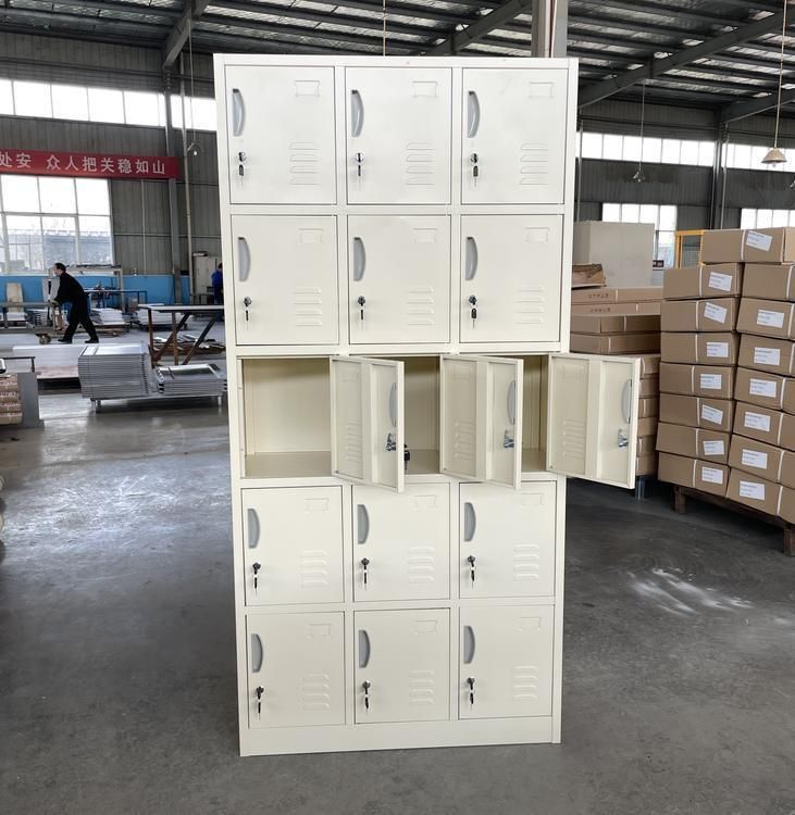 Custom Knock Down Steel Cabinet 15 Doors Metal Locker