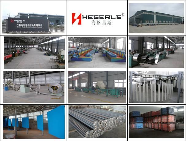 Steel Shelf for Supermarket/Store/Shopping/Domestic Use