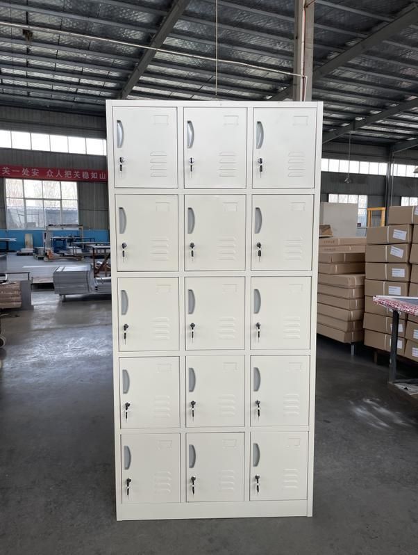 Custom Knock Down Steel Cabinet 15 Doors Metal Locker