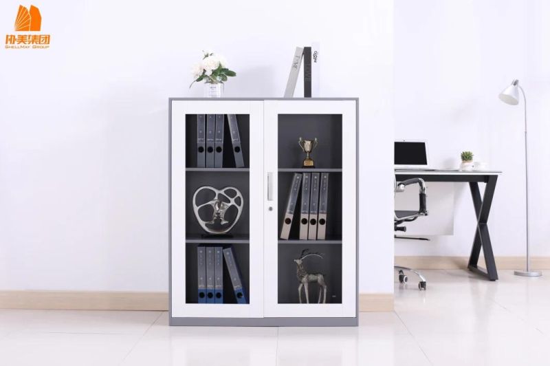 Realiable Quality 2 Swing Glass Door File Cabinet for Sale