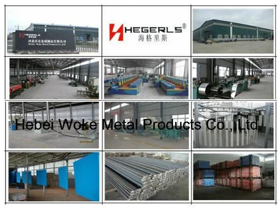 Hegerls Gondola Shelving From China