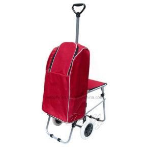 Iron Frame of Shopping Trolley Cooler Bag with Seat