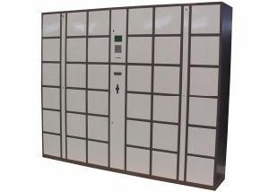 Touchscreen 15&quot; LCD and Powder Coating or Painting Finishing Packstation Intelligent Logistic Delivery Parcel Locker