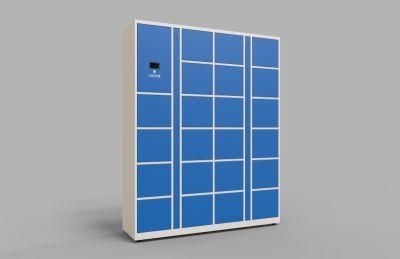 Cold Rolled Steel Identification DC Plywood Case Face Recognition Delivery Locker
