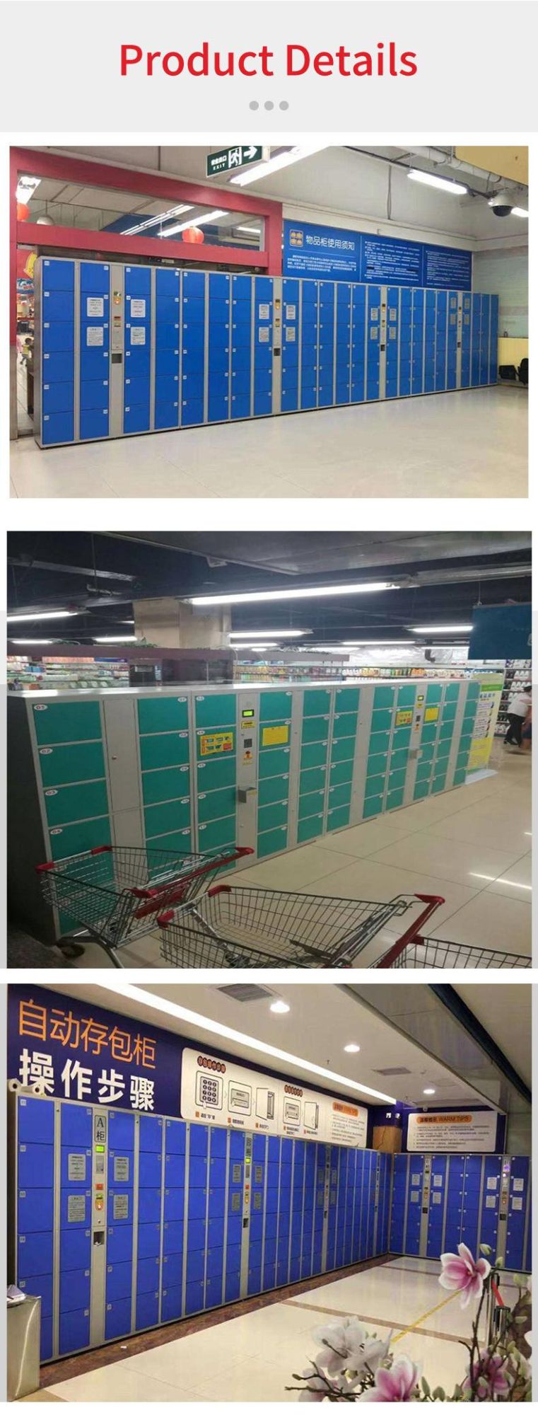 Professional Manufacture Storage Electronic Locker